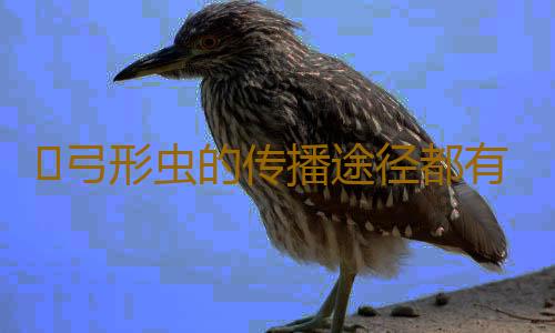 ​弓形虫的传播途径都有什么