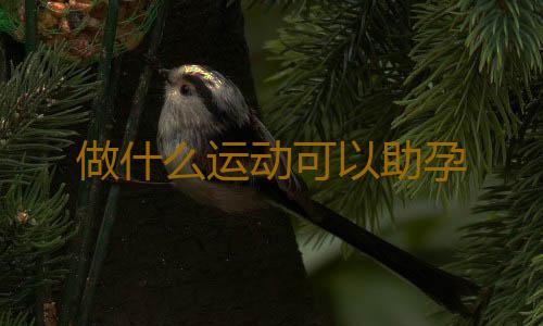 做什么运动可以助孕