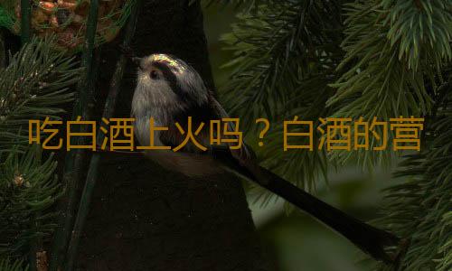 吃白酒上火吗？白酒的营养价值有哪些