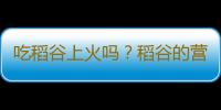 吃稻谷上火吗？稻谷的营养价值有哪些