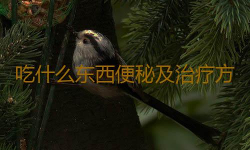 吃什么东西便秘及治疗方法