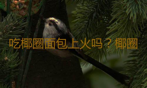 吃椰圈面包上火吗？椰圈面包的营养价值有哪些