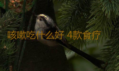 咳嗽吃什么好 4款食疗方帮你润肺止咳