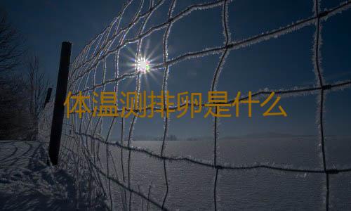 体温测排卵是什么