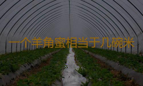 一个羊角蜜相当于几碗米饭