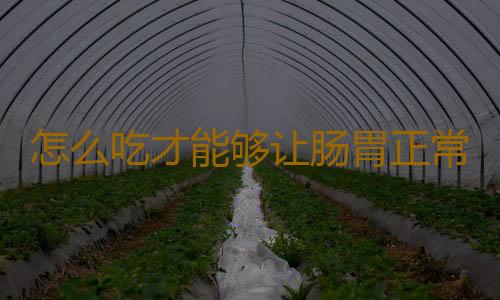 怎么吃才能够让肠胃正常？