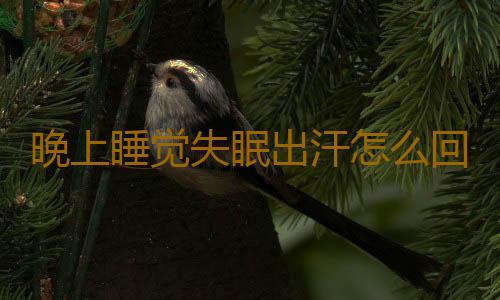 晚上睡觉失眠出汗怎么回事呢