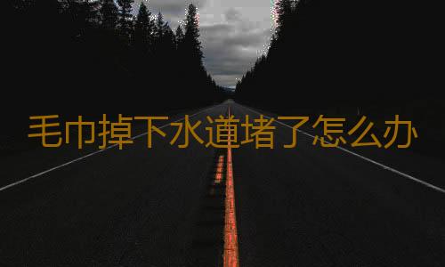 毛巾掉下水道堵了怎么办