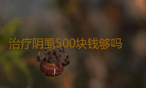 治疗阴虱500块钱够吗