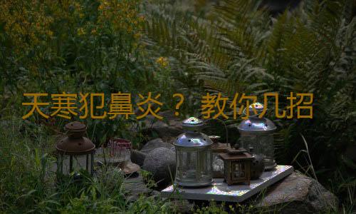 天寒犯鼻炎？ 教你几招摆脱季节性过敏