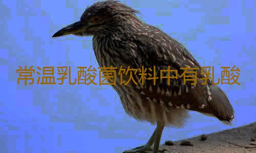 常温乳酸菌饮料中有乳酸菌吗？