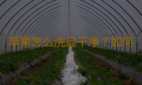 苹果怎么洗最干净？如何清洗苹果才干净