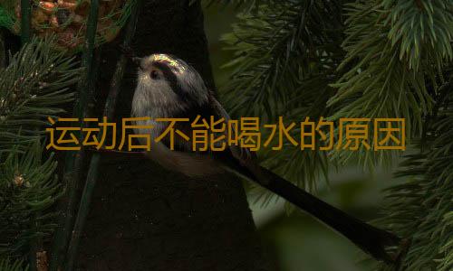 运动后不能喝水的原因